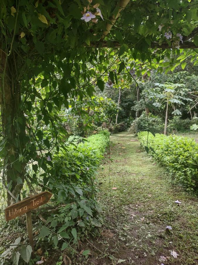 Finca Mystica Mérida المظهر الخارجي الصورة
