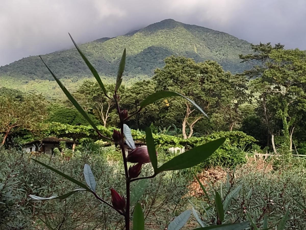 Finca Mystica Mérida المظهر الخارجي الصورة