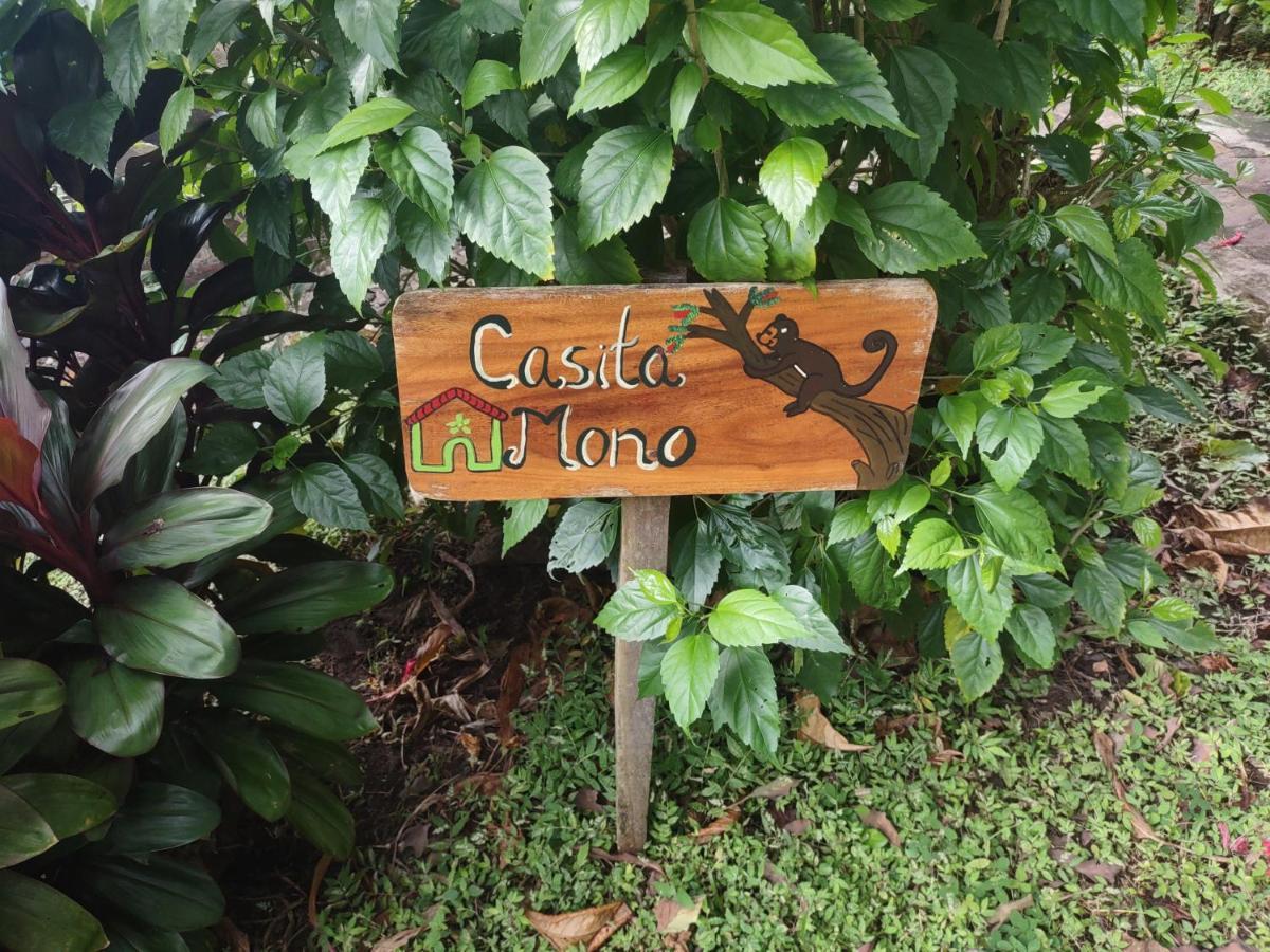 Finca Mystica Mérida المظهر الخارجي الصورة