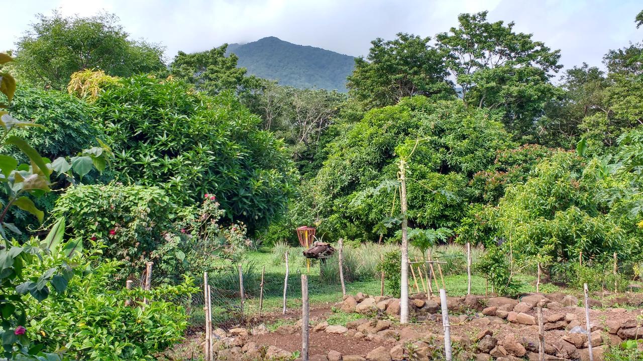 Finca Mystica Mérida المظهر الخارجي الصورة
