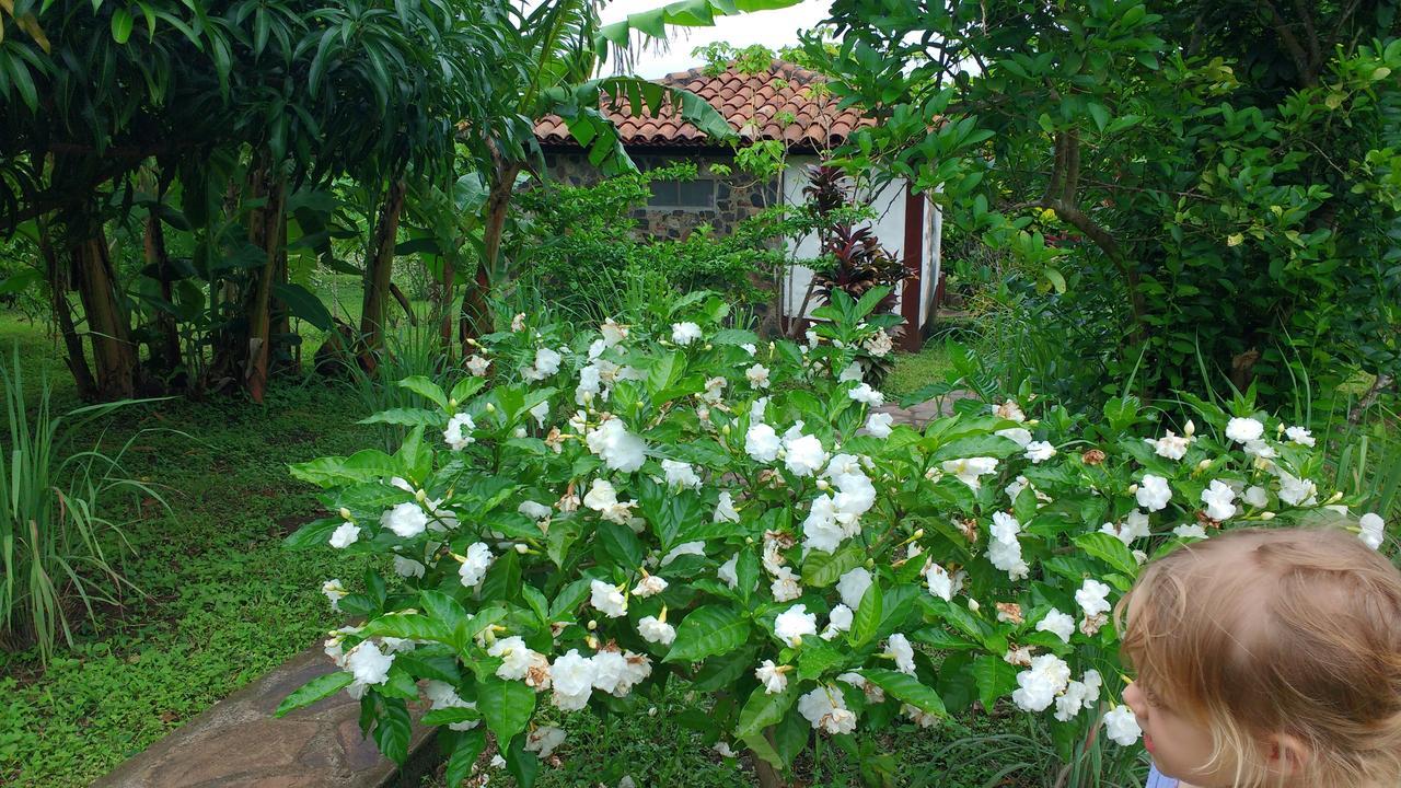 Finca Mystica Mérida المظهر الخارجي الصورة