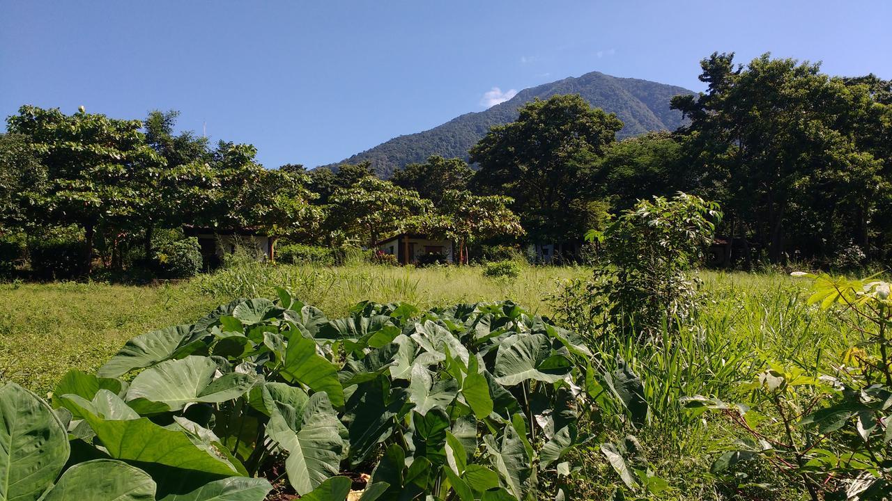 Finca Mystica Mérida المظهر الخارجي الصورة