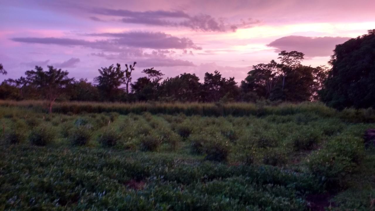 Finca Mystica Mérida المظهر الخارجي الصورة